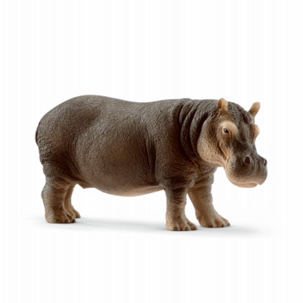 BRN Hippopotamus