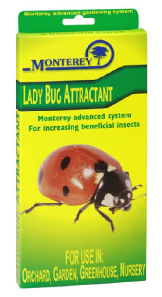 Lady Bug Lure