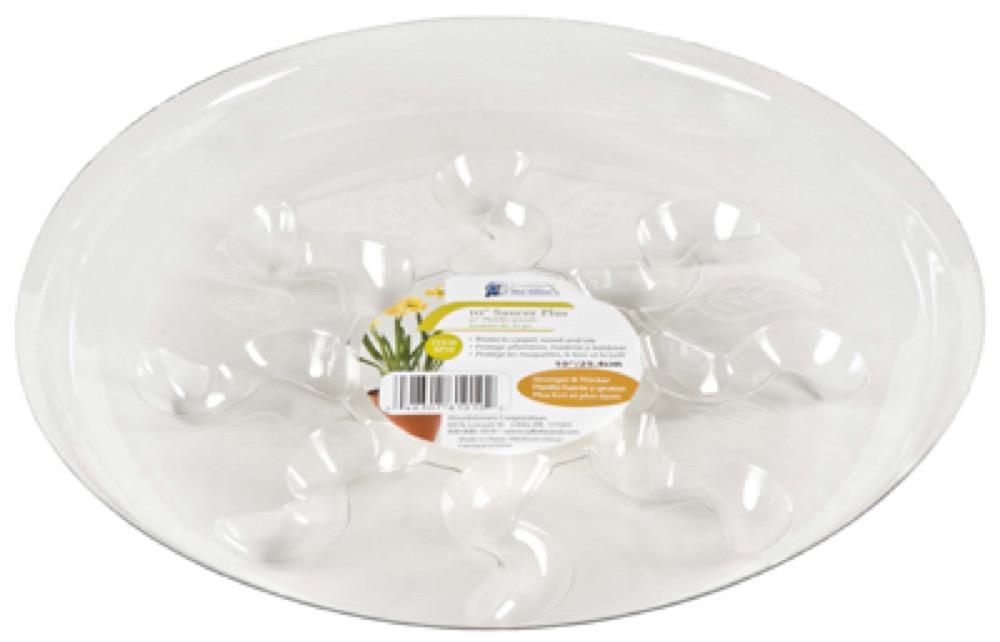 6" Saucer Plus