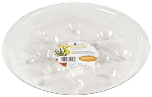 6" Saucer Plus