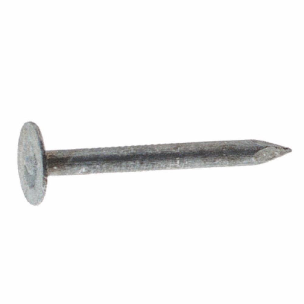 LB 1" EG Roof Nail