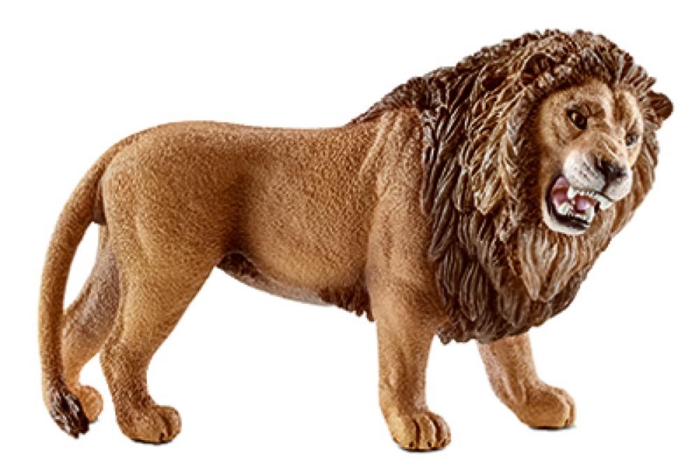 BRN Lion
