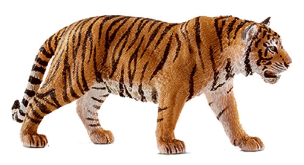ORG/BLK Tiger