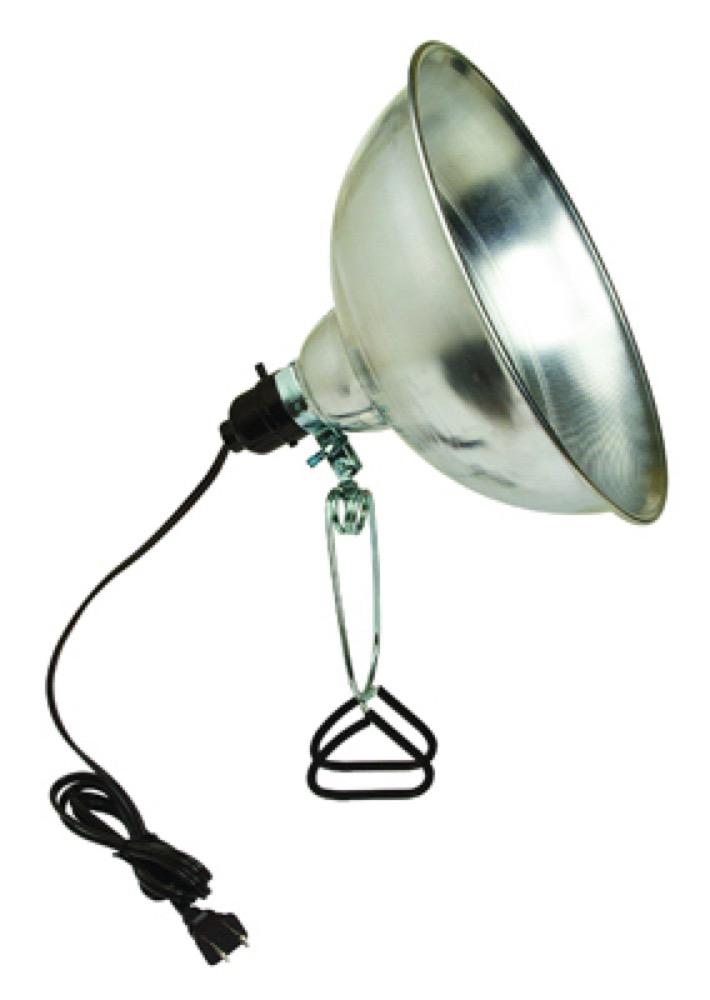 150W Clamp Light/Cord