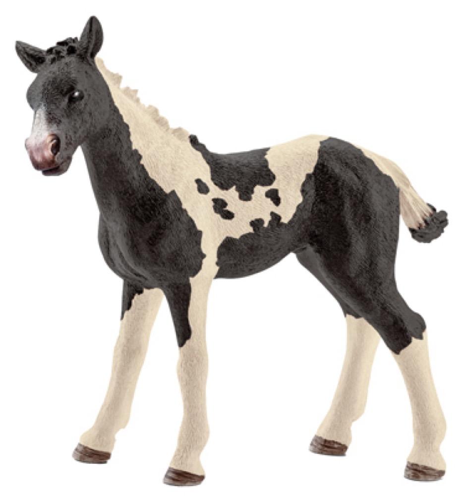 BLK/WHT PTO Foal