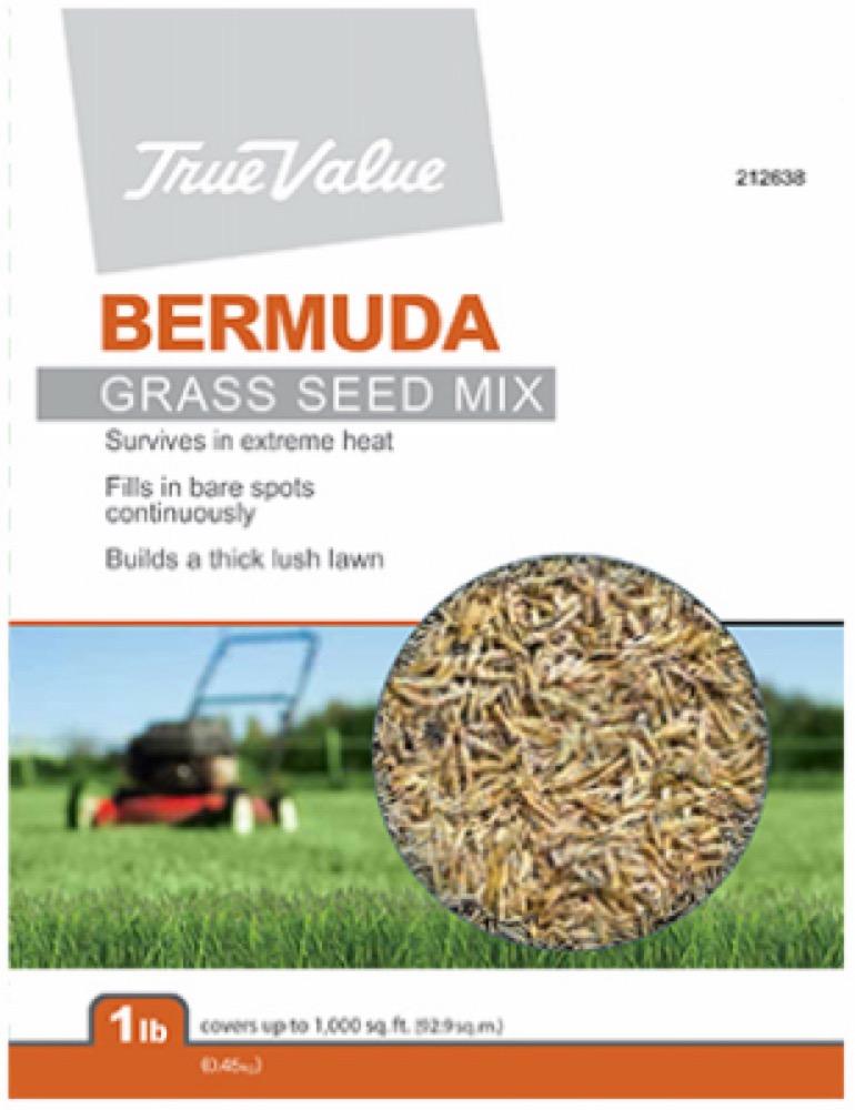 TV LB Bermuda Seed