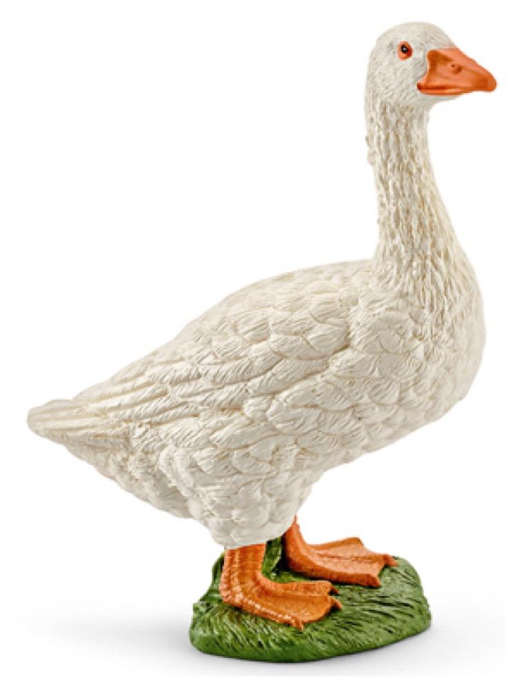 WHT Goose