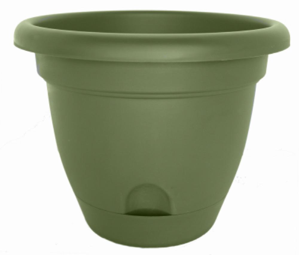 6" LivGRN Lucca Planter