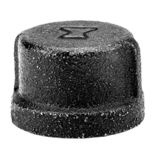1-1/4 BLK Pipe Cap