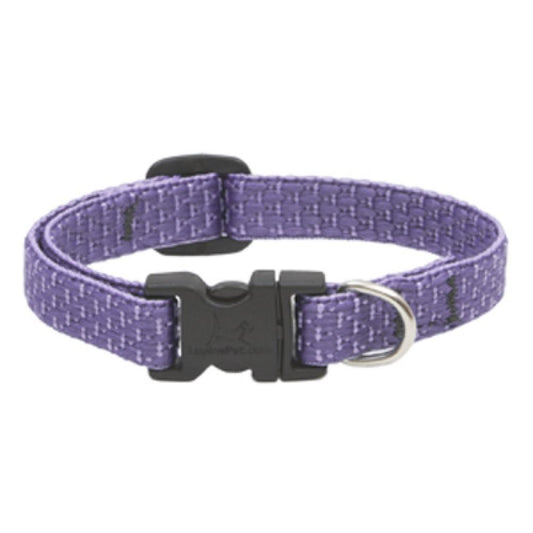 1/2x8-12 Lil Dog Collar