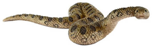 GRN Anaconda