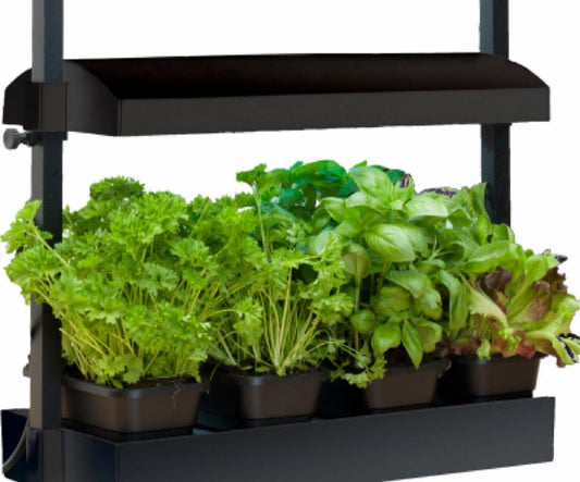 Micro Grow LGT Garden