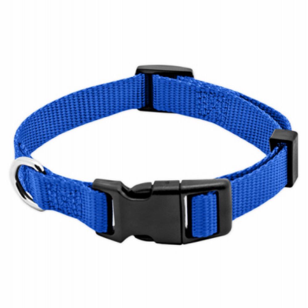 PE5/8x16 BLU Dog Collar