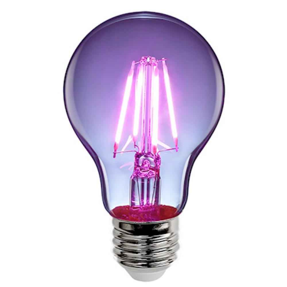 4.5W Purp Fil E26 Bulb