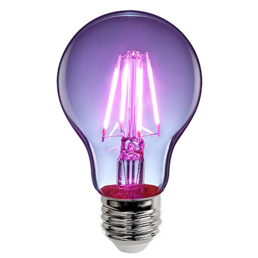 4.5W Purp Fil E26 Bulb