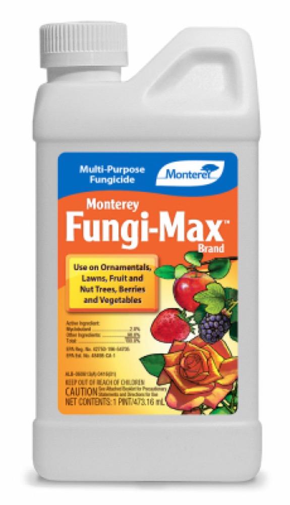 16OZ MP Fungicide