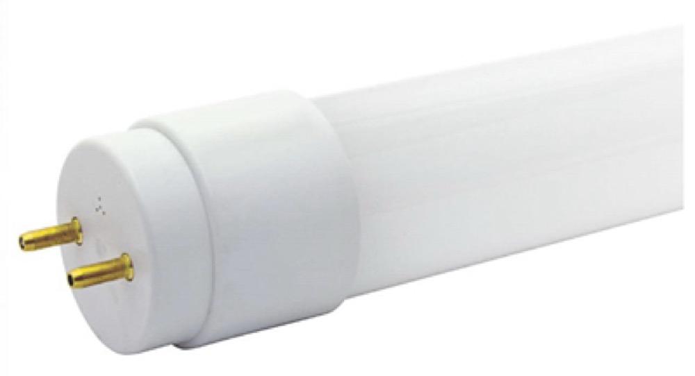 GE 4' 14W WHT T8 Bulb