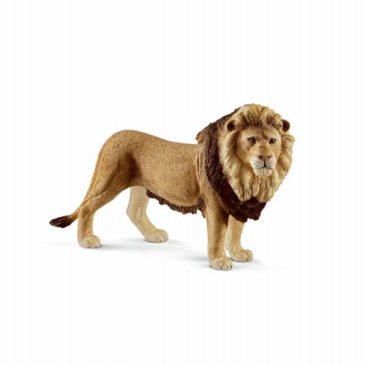 BRN Lion