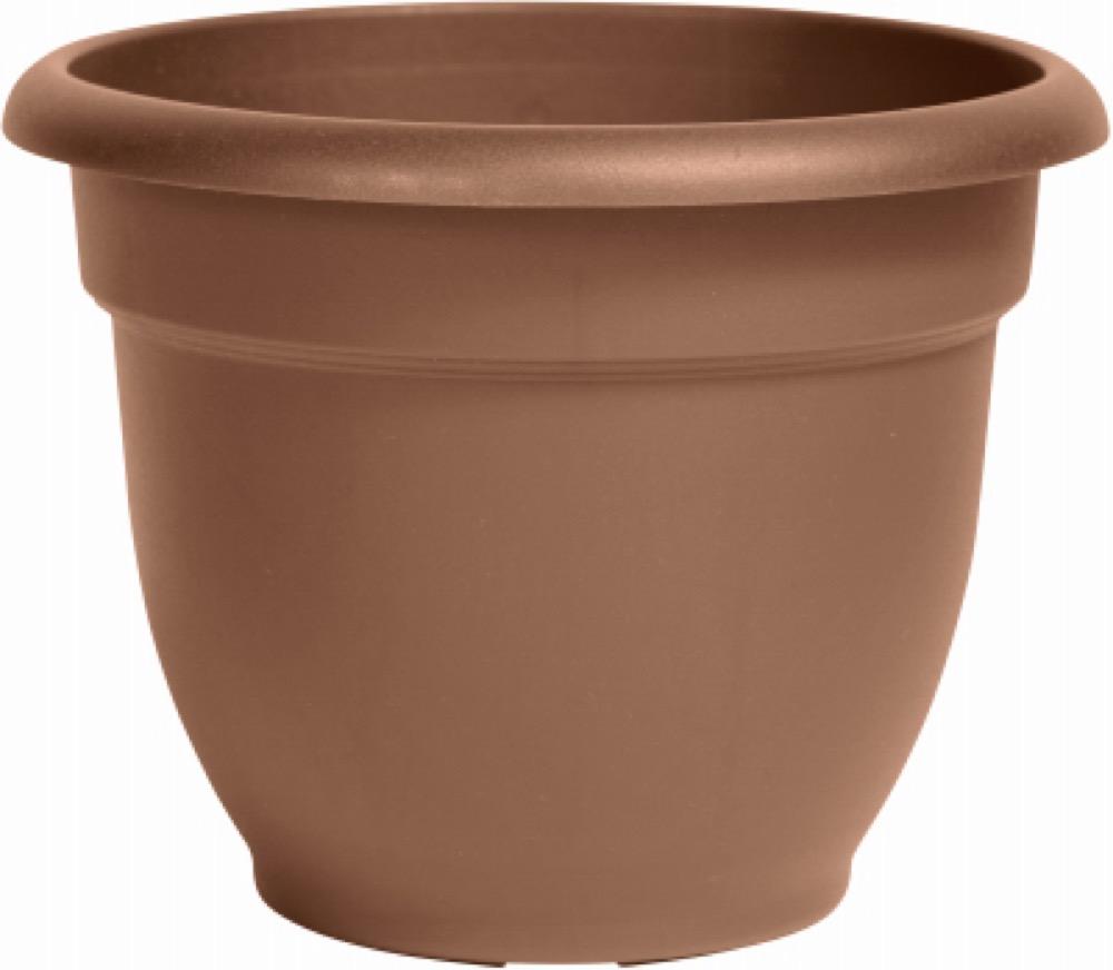 Ariana12" Choc Planter