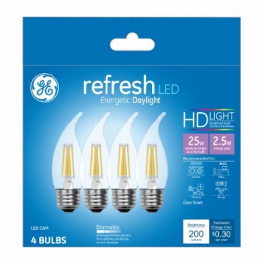 GE4PK 2.5W Day Ref Bulb