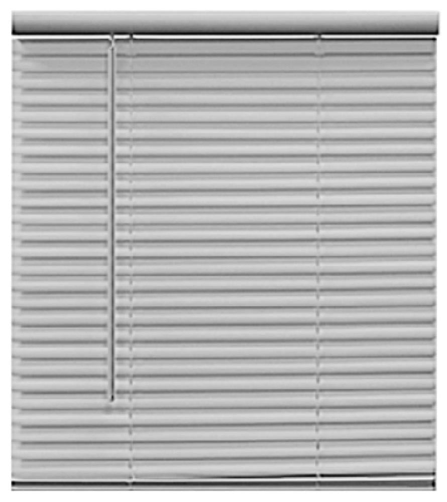 HP 29x64 LF CRDLS Blind