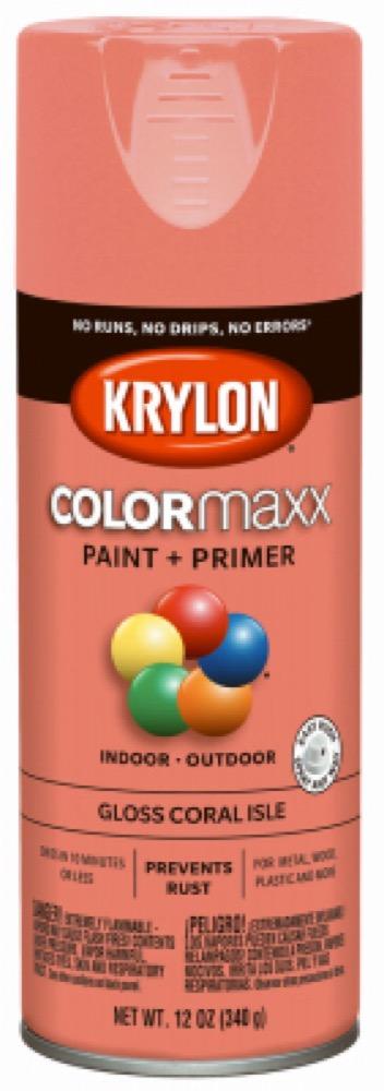 12OZ Coral GLS Paint