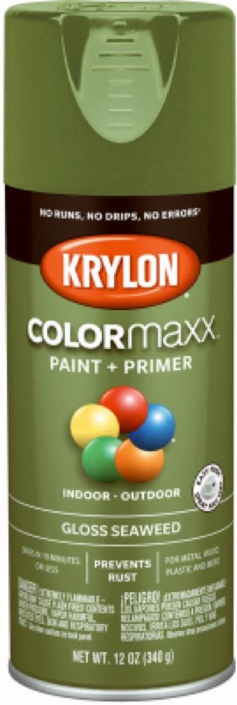 12OZ Seaweed GLS Paint