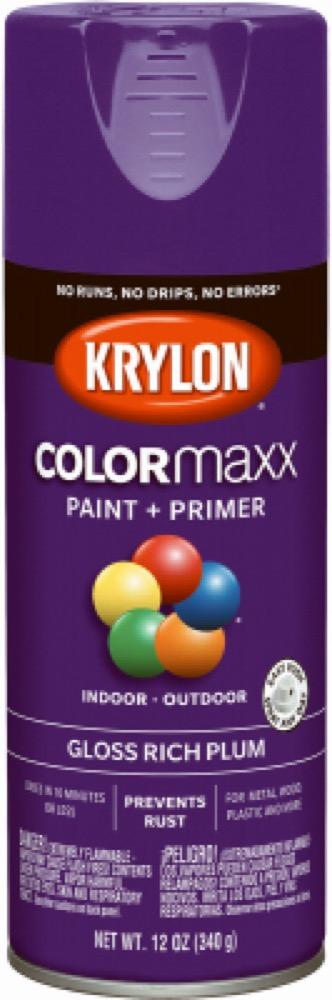 12OZ Plum GLS Paint