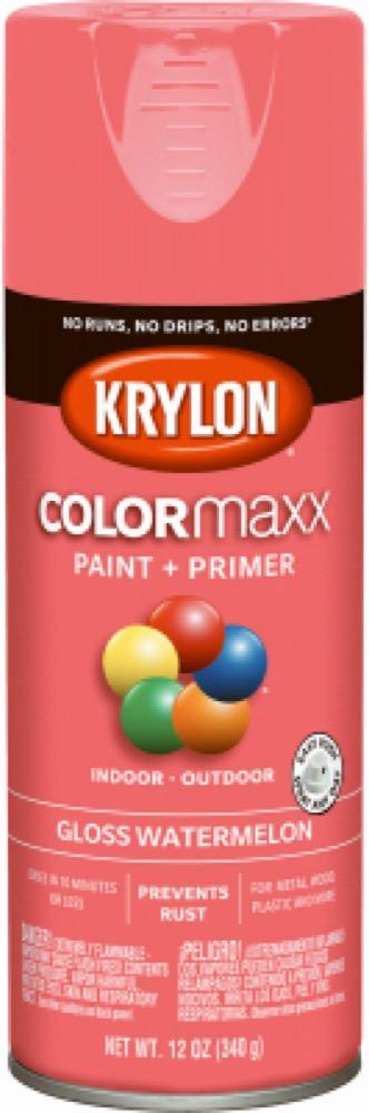 12OZ Watermel GLS Paint