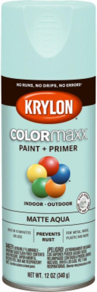 12OZ AQUA Matte Paint
