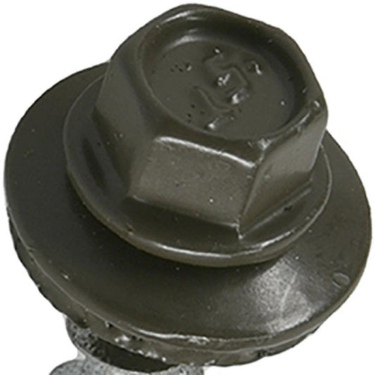 250PC 10x1 ANT WB Screw