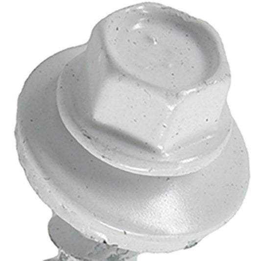 250PC 10x1 WHT WB Screw