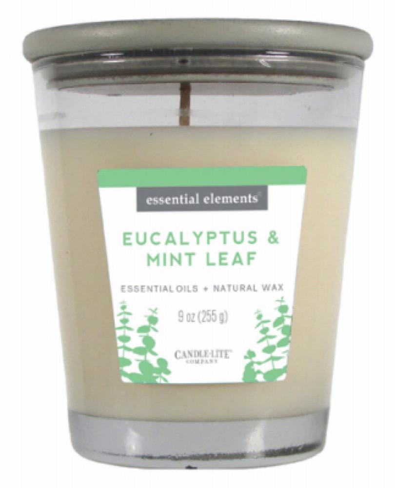 9OZ Euc/Mint Jar Candle