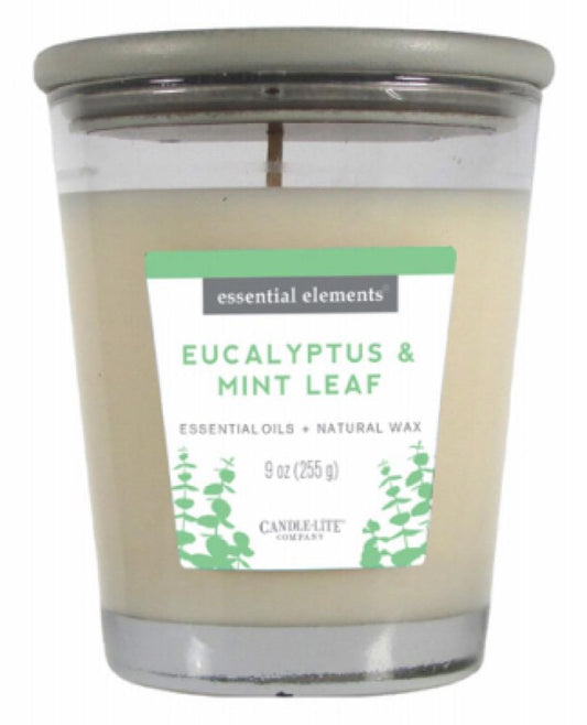 9OZ Euc/Mint Jar Candle