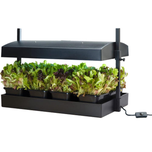 Grow LGT GDN Kit