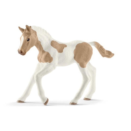 Tan/WHT Paint Foal