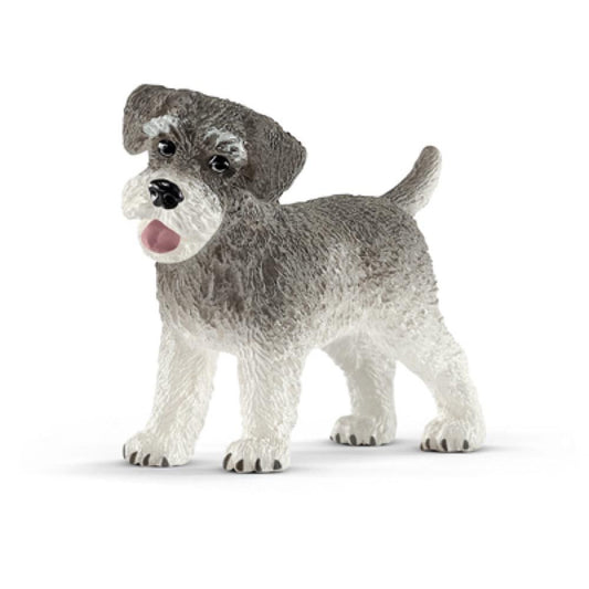 GRY Mini Schnauzer