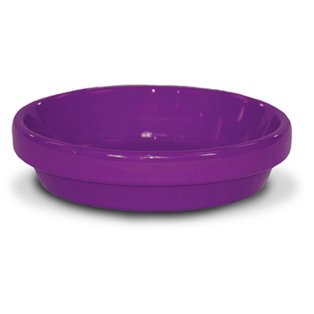 3.75" Viol Cera Saucer