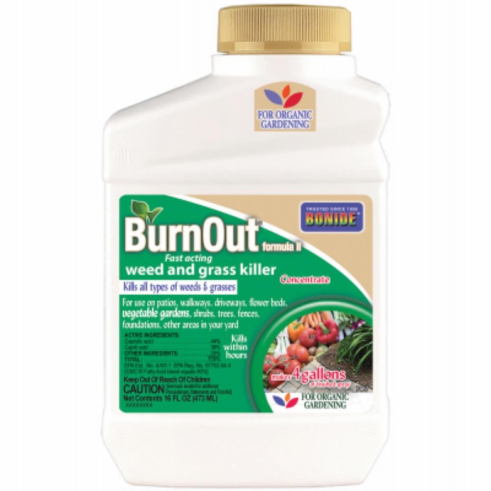 16OZ Conc Burn Out II