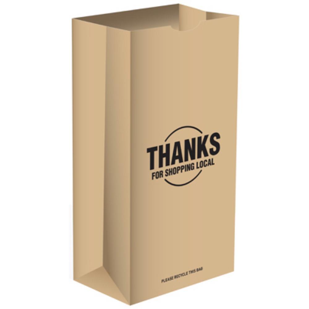 500PK 6LB Paper Bag