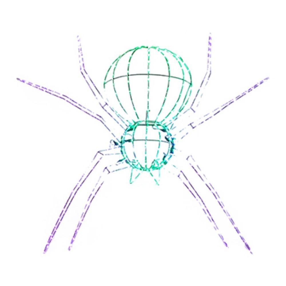 28x40 3D GRN/PUR Spider