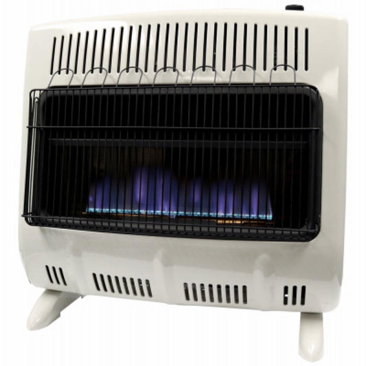 30K BTU DF BLU Heater
