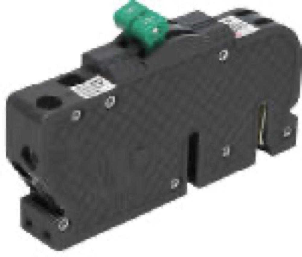 50A 2Pol Zinsco Breaker