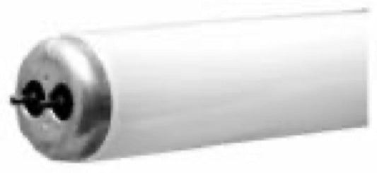 GE25W 33" CW Fluo Bulb