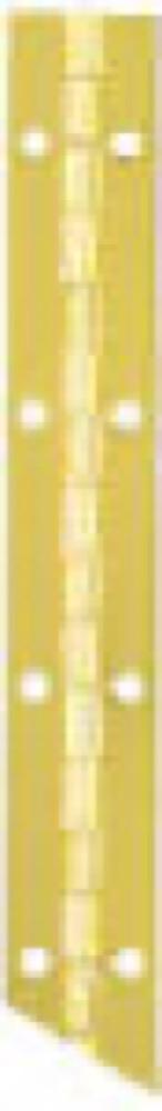 1-1/6x12 BRS Cont Hinge