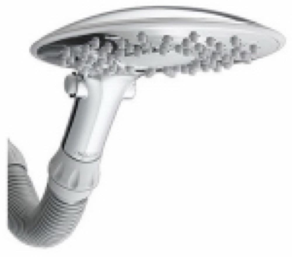 8" WHT SHWR Head