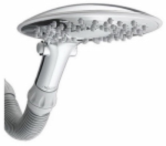 8" WHT SHWR Head