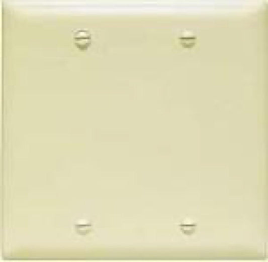 IVY 2G BLNK Nyl Plate