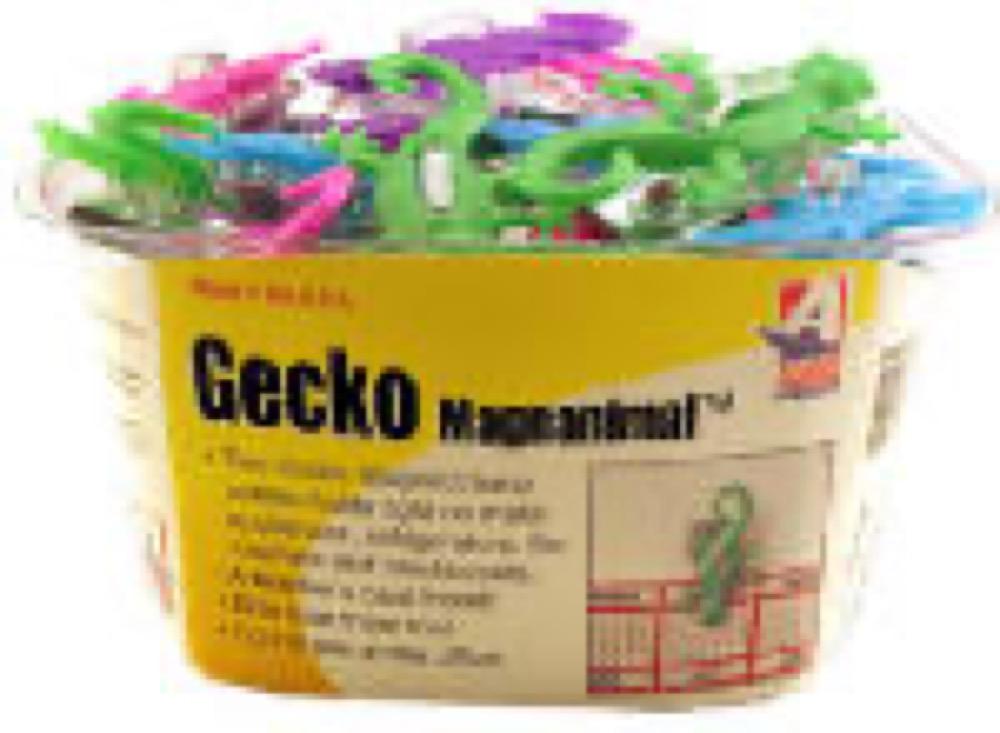 Gecko Magnet Clip ASSTD
