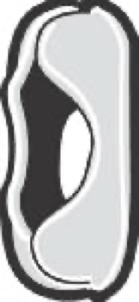 100PK #6Chain Coupling